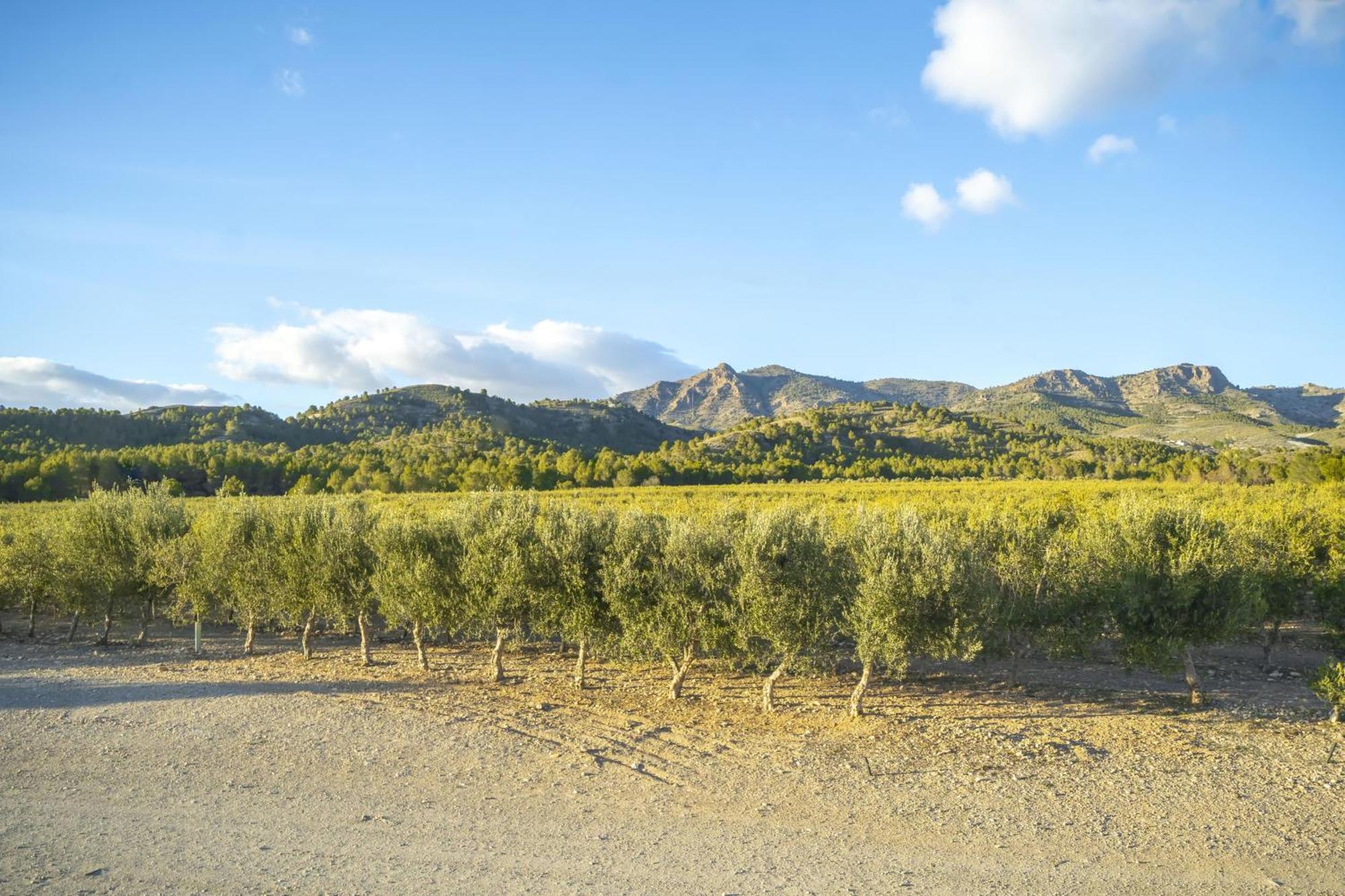 Finca El Espilo Lucar Esterno foto